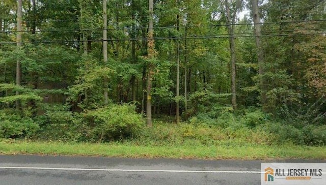 86 Union Valley Rd, Monroe NJ, 08831 land for sale