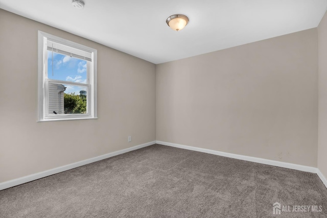 282 Nichol Ave, New Brunswick, NJ 08901 - photo 16