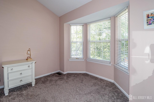 802 Carnaby Ln, Toms River, NJ 08753 - spare room with carpet and vaulted ceiling