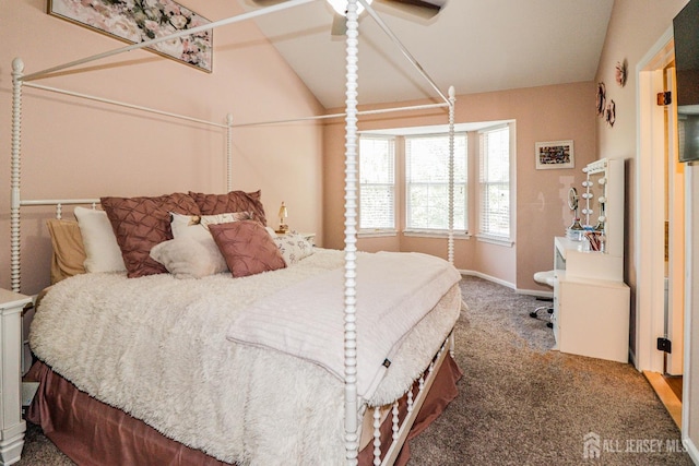 802 Carnaby Ln, Toms River, NJ 08753 - bedroom featuring carpet floors and lofted ceiling