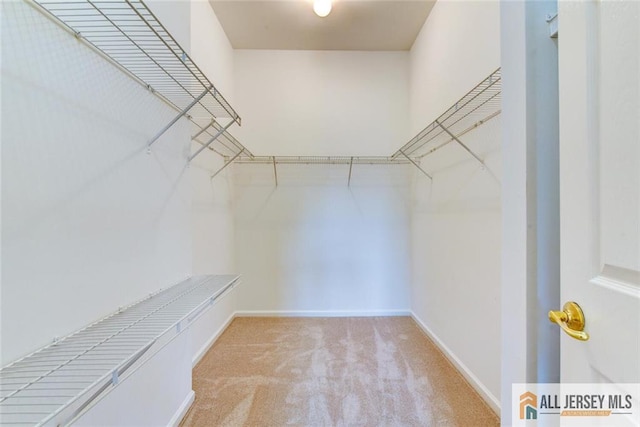 5 Trowbridge Ln, Cranbury, NJ 08512 - photo 28
