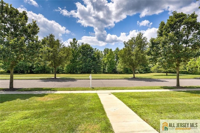5 Trowbridge Ln, Cranbury, NJ 08512 - photo 4