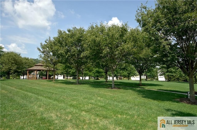 5 Trowbridge Ln, Cranbury, NJ 08512 - photo 58