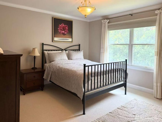 20 Carnegie St, Monroe, NJ 08831 - photo 25