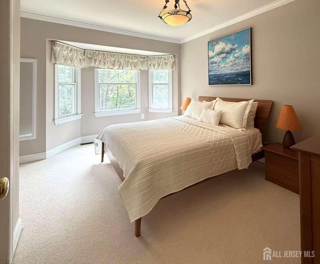 20 Carnegie St, Monroe, NJ 08831 - photo 24