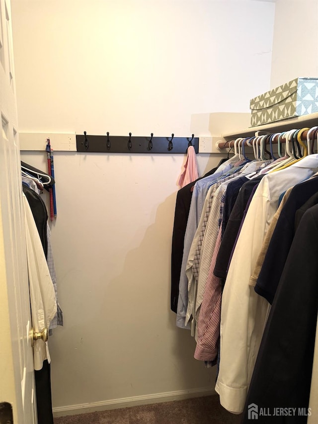 walk in closet with carpet