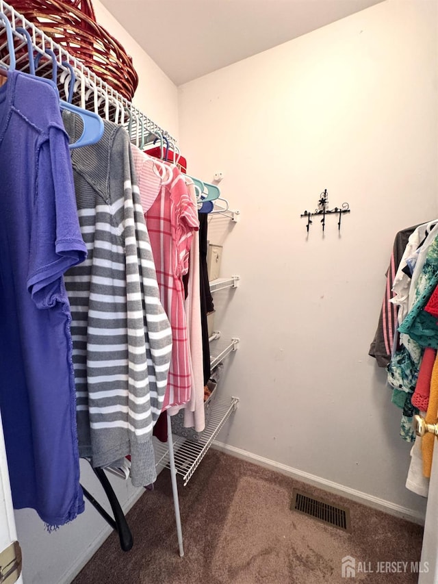 walk in closet with visible vents and carpet flooring