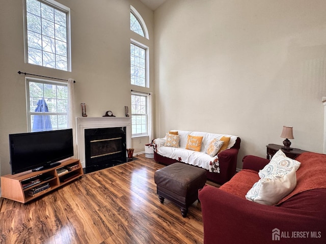 living area featuring baseboards, a high ceiling, wood finished floors, and a fireplace