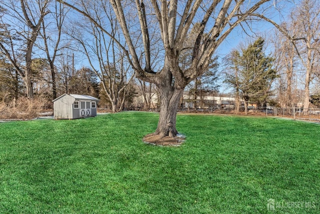 view of yard with a storage shed