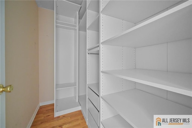 21 Capica Ct Unit 89, South Amboy, NJ 08879 - spacious closet featuring light wood-style flooring