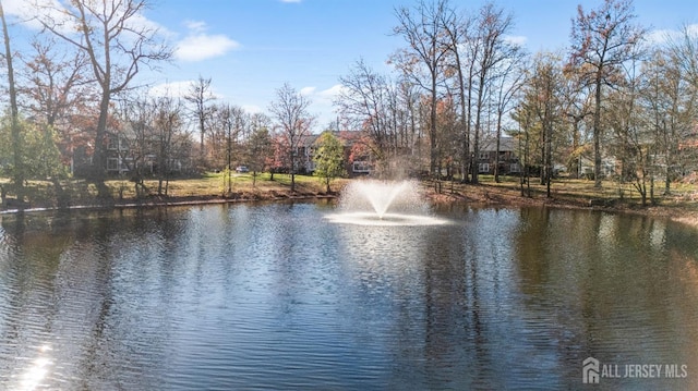 view of water feature