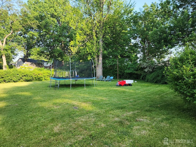 539 Locust Ave, Garwood, NJ 07027 - view of green lawn featuring a trampoline