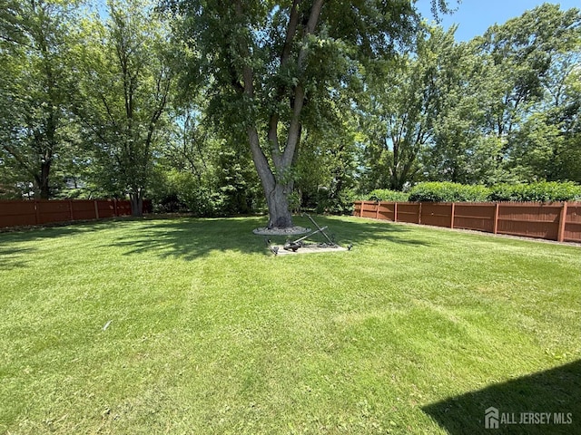 3 Guernsey Ln, East Brunswick, NJ 08816 - photo 32
