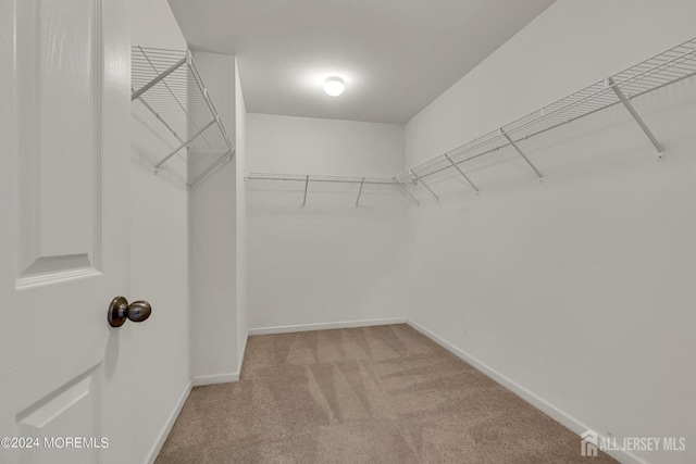 44 Begonia Ln, Monroe, NJ 08831 - walk in closet with light colored carpet