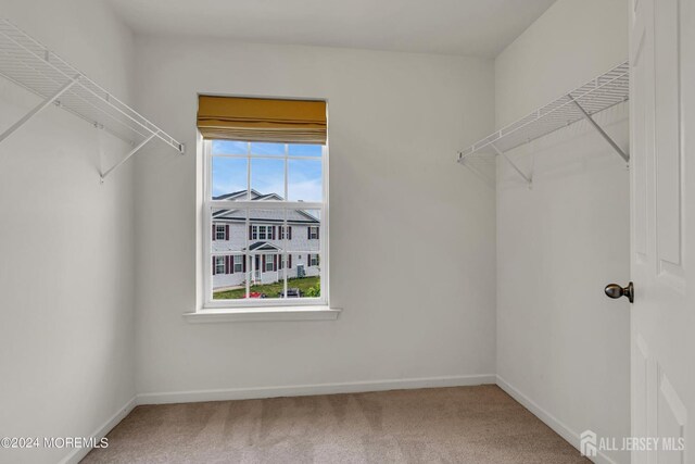 44 Begonia Ln, Monroe, NJ 08831 - spacious closet with carpet flooring