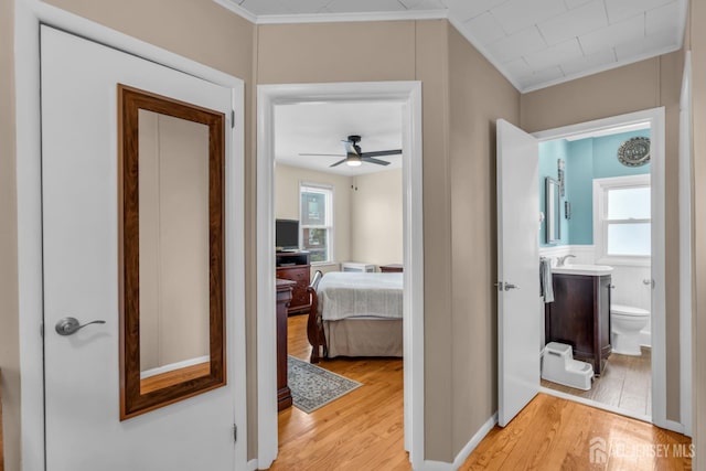 143 Emerson St, Carteret, NJ 07008 - hall with crown molding, light wood-type flooring, and plenty of natural light