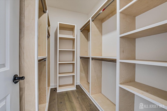 walk in closet featuring wood finished floors