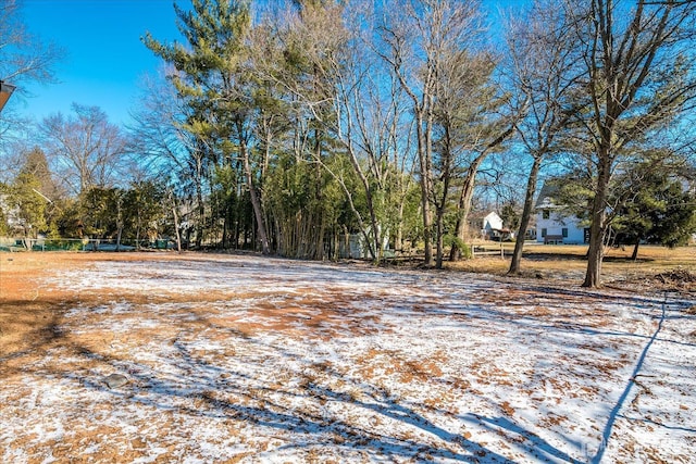 view of yard layered in snow