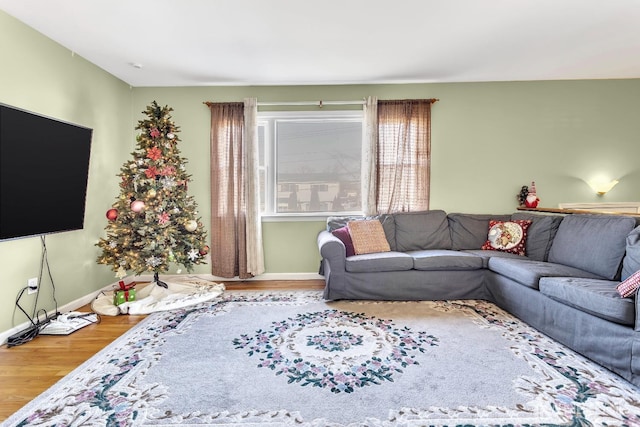 living room with hardwood / wood-style flooring