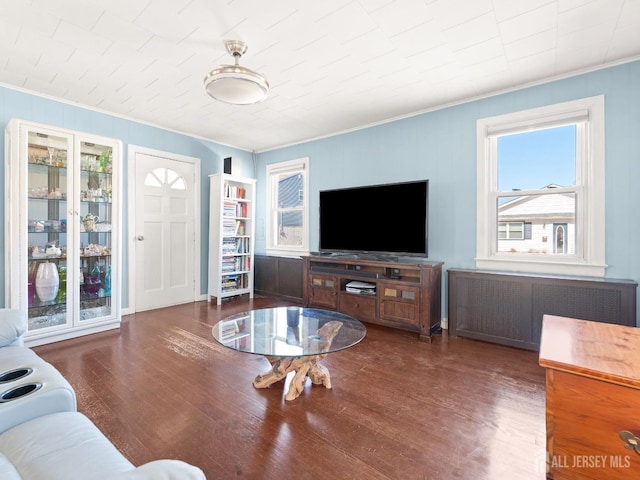 living room featuring ornamental molding, radiator heating unit, and wood finished floors