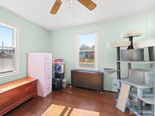 interior space featuring radiator, a ceiling fan, and wood finished floors