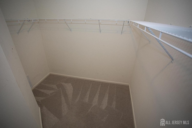247 Springmeadow Way, Monroe, NJ 08831 - spacious closet featuring carpet