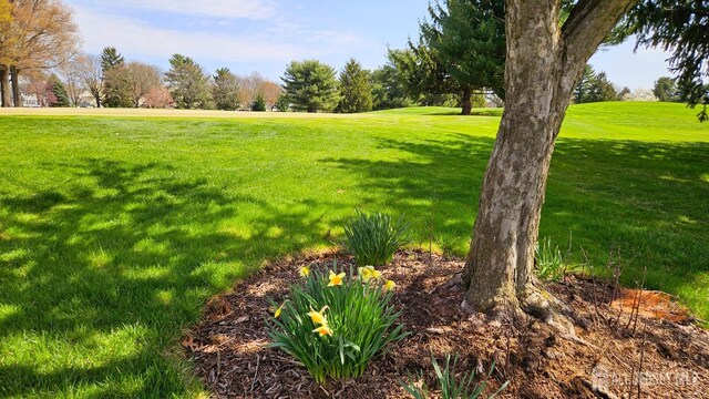 467 New Haven Way Unit A, Monroe, NJ 08831 - view of grassy yard