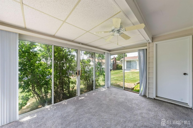 213 Doremus Dr Unit C, Monroe, NJ 08831 - photo 16