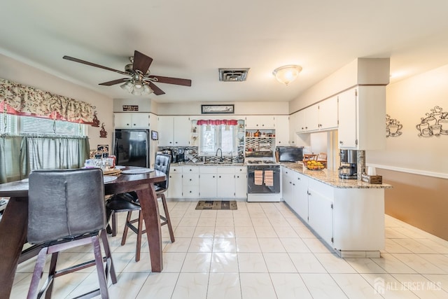 119 Carteret Ave, Carteret, NJ 07008 - kitchen featuring white gas stove, freestanding refrigerator, plenty of natural light, and ceiling fan