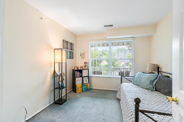 278 Vasser Dr, Piscataway, NJ 08854 - photo 13