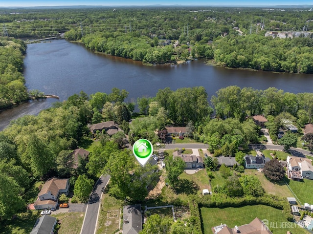 38 Louise Dr, East Brunswick, NJ 08850 - aerial view of a large body of water and a heavily wooded area