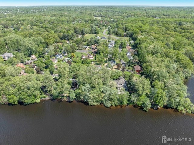 38 Louise Dr, East Brunswick, NJ 08850 - aerial view of property and surrounding area with a heavily wooded area and a large body of water