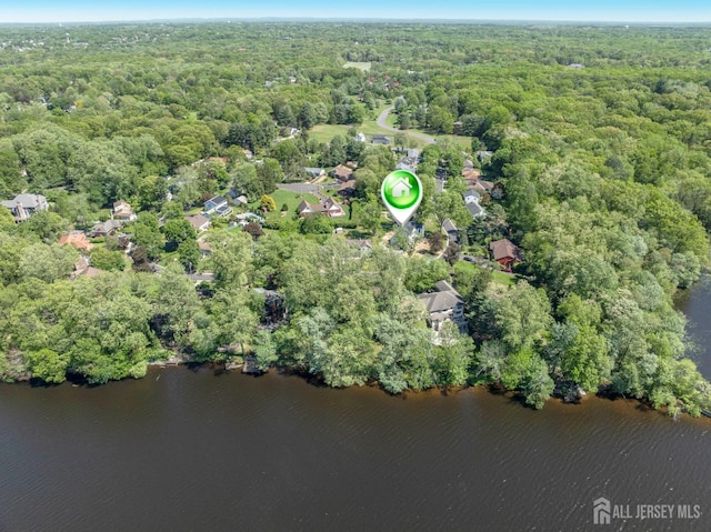 38 Louise Dr, East Brunswick, NJ 08850 - aerial view of property and surrounding area with a heavily wooded area and a large body of water