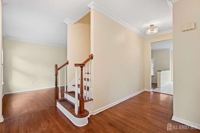 25 Orris Ave, Piscataway, NJ 08854 - photo 13