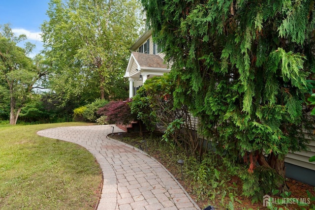 25 Orris Ave, Piscataway, NJ 08854 - photo 10