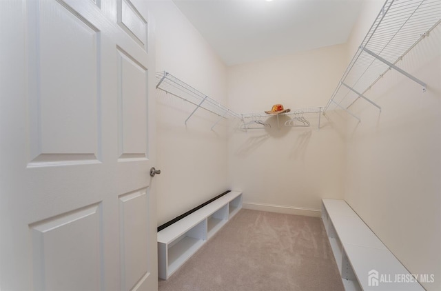 7209 Minuteman Ln, Franklin, NJ 08873 - spacious closet featuring light colored carpet