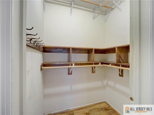 spacious closet with wood-type flooring