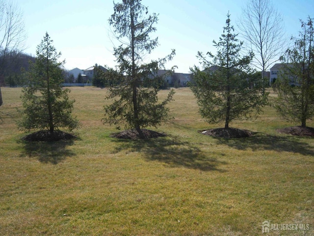 38 Colleen Ct, South Brunswick, NJ 08824 - photo 7