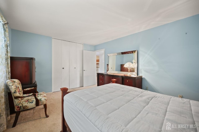 10 Nebraska Dr, Old Bridge, NJ 07747 - carpeted bedroom with a closet