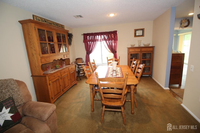 816-C Deal Rd, Monroe, NJ 08831 - dining room featuring plenty of natural light, carpet flooring, a textured ceiling, and baseboards