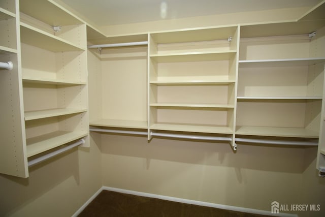 816-C Deal Rd, Monroe, NJ 08831 - view of walk in closet