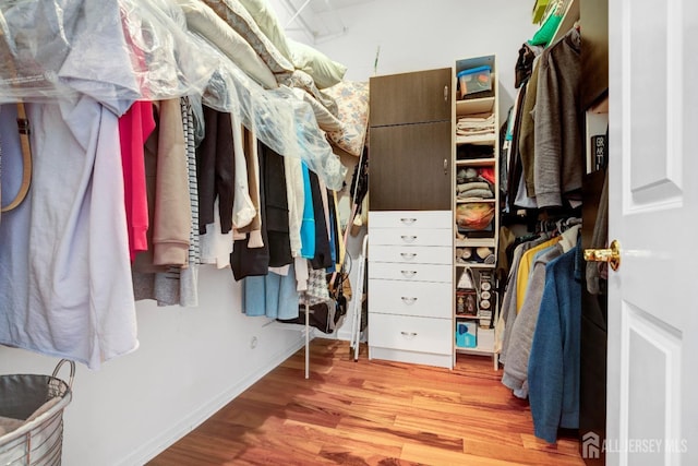 spacious closet featuring wood finished floors