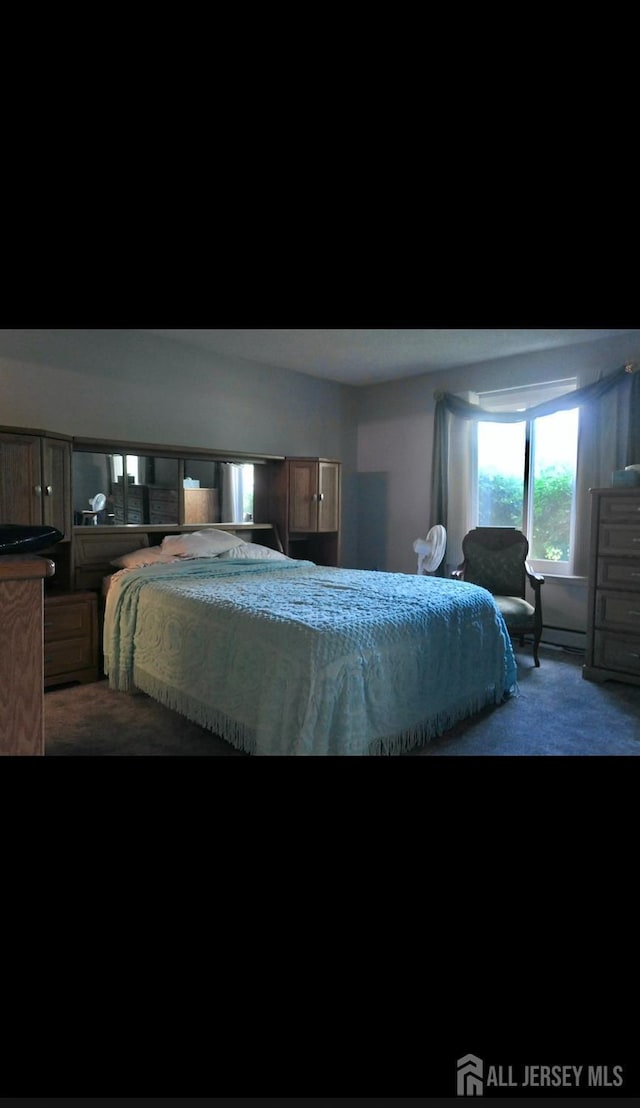 131-C Balsam Plz, Monroe, NJ 08831 - bedroom with carpet