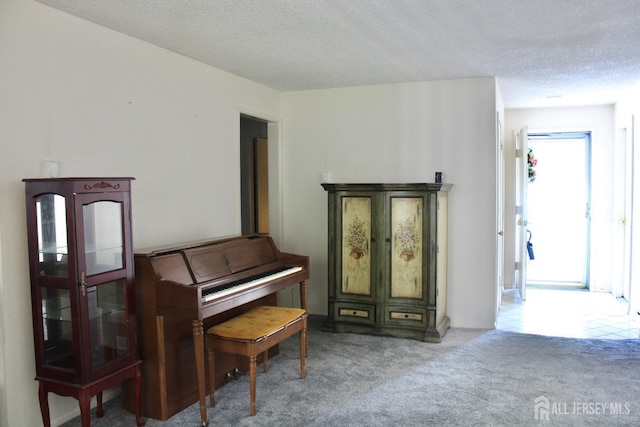 131-C Balsam Plz, Monroe, NJ 08831 - living area featuring carpet flooring and a textured ceiling