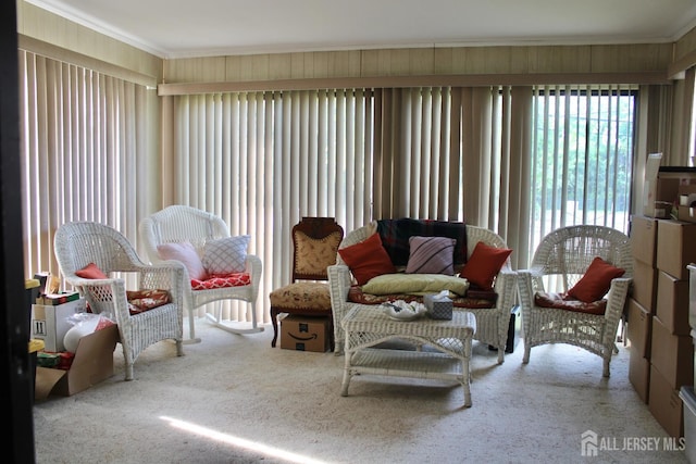 131-C Balsam Plz, Monroe, NJ 08831 - sunroom with carpet floors and ornamental molding