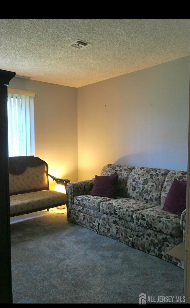 131-C Balsam Plz, Monroe, NJ 08831 - living area featuring carpet floors and a textured ceiling