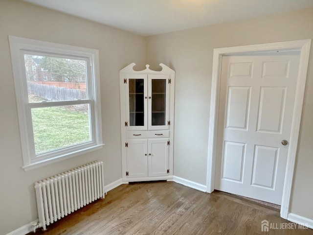 66 W Spring St W, Somerville, NJ 08876 - doorway with radiator, light wood-type flooring, plenty of natural light, and baseboards