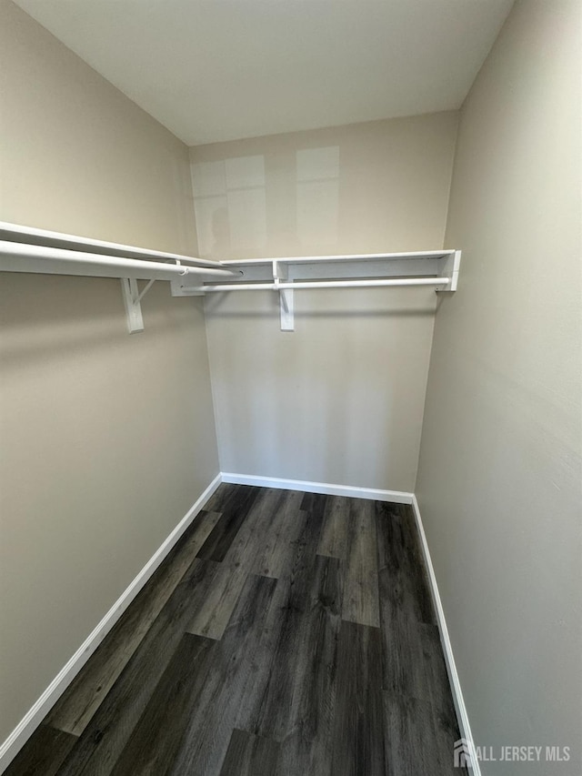 89 Golden Sq, Woodbridge Proper, NJ 07095 - spacious closet with dark wood-style floors