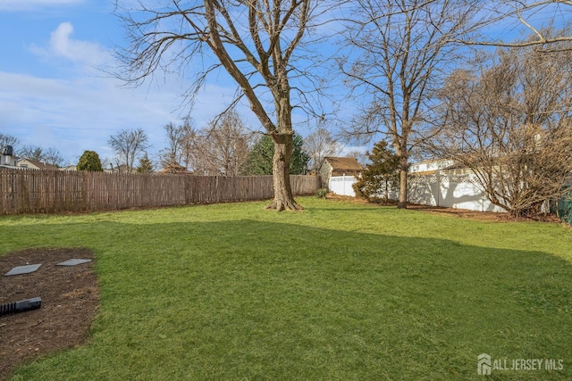 view of yard with a fenced backyard