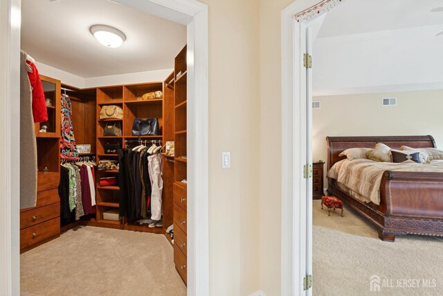 7 Pershing Ct, North Brunswick, NJ 08902 - spacious closet with carpet